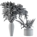 Natural Dried Plant Decorative Arrangement with Pampas Grass and Wheat in Gray Vases