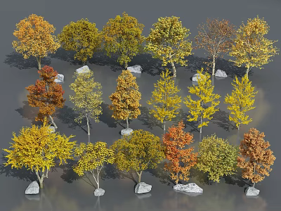 Array of Colorful Autumn Deciduous Trees with Yellow Orange Foliage and Stones 3d model