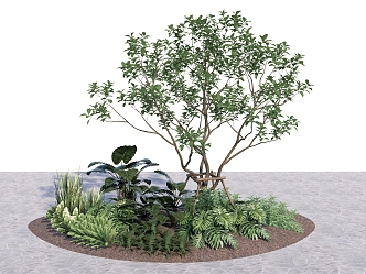 plant group arbor shrub combination flowers and plants combination flower border plant 3d model