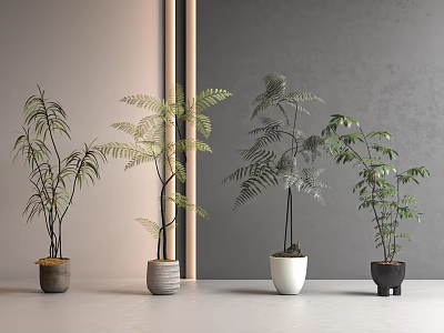 Modern Green Plant Potted Plant 3d model