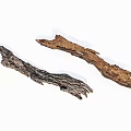 Natural Tree Bark Pieces With Dark And Light Textures On White Background 3d model