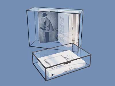Transparent Glass Boxes With Open Books Magazines On Blue Background 3d model