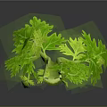 Fresh Green Celery Stalk With Vibrant Leaves And Reflection On Black Surface 3d model