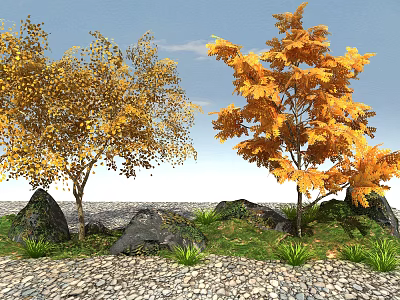 Modern Plants Landscape Plants 3d model