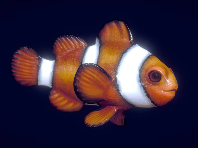 Vibrant Orange And White Clownfish With Striped Body Fins And Bright Eyes 3d model