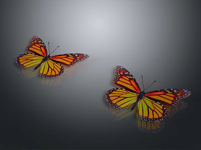 Orange and Yellow Monarch Butterflies on Gray Background with Shiny Reflective Surfaces 3d model