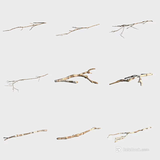 Natural Dry Tree Branches With Various Shapes Sizes And Textures For Decorative Use 3d model 