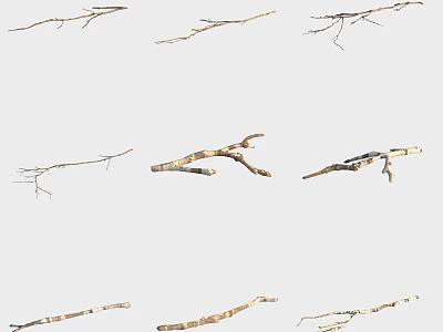 Natural Dry Tree Branches With Various Shapes Sizes And Textures For Decorative Use 3d model