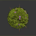 Green Plant Sphere With Grass Purple Flowers And Red Grass Blades