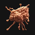 Detailed 3D Virus Structure Model With Spikes For Scientific Visualization