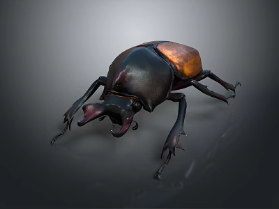 Realistic 3D Rendered Beetle With Black And Brown Shell And Large Horn 3d model