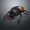 Realistic 3D Rendered Beetle With Black And Brown Shell And Large Horn 3d model