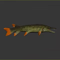 3D Model of Ferocious Fish With Long Snout Sharp Teeth Green Body and Orange Fins
