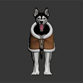 Siberian Husky Wearing Brown Dog Vest With White Trim Standing Isolated