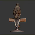 Detailed Brown And Orange Bird Taxidermy Perched On Wooden Stand