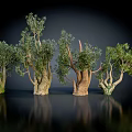 Varied Form Trees with Diverse Trunks and Lush Green Foliage on Black Background with Reflections