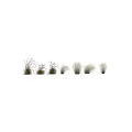 Decorative Ornament Set Featuring Various Ornamental Grass Plants For Home Decor 3d model