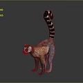 Realistic 3D Lemur Model Standing With Long Striped Tail And Detailed Fur 3d model