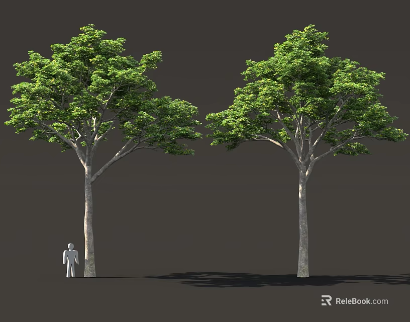 Two Tall Green Trees With Lush Foliage Standing Beside Small Human Figure 3d model 