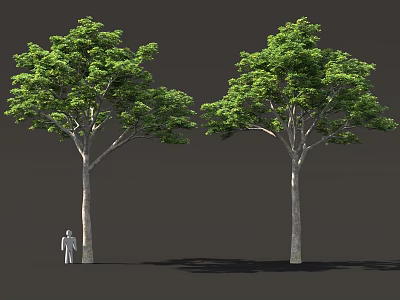 Two Tall Green Trees With Lush Foliage Standing Beside Small Human Figure 3d model