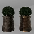 Pair of Bonsai Potted Plants With Round Green Foliage In Textured Metallic Pots