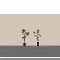Bonsai Potted Plants in Black Square Pots with Elegant Natural Foliage against Light Neutral Background