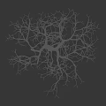 Tall Arbor Tree With Bare Branches Against Dark Background And Human Silhouette 3d model
