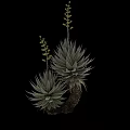 Decorative Ornament Set With Tall Aloe Plants And Flower Accents For Home Decor
