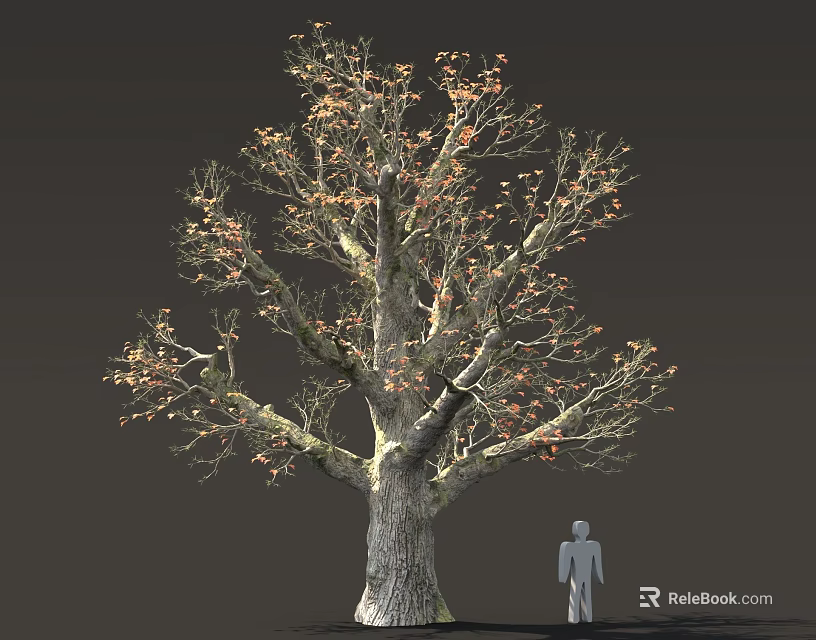 Tall Tree with Thick Trunk Few Orange Leaves and Human Silhouette on Dark Gray Background 3d model 