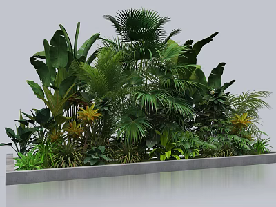 Mixed Green Plants Featuring Tropical Foliage And Various Leaf Shapes In Concrete Planter 3d model