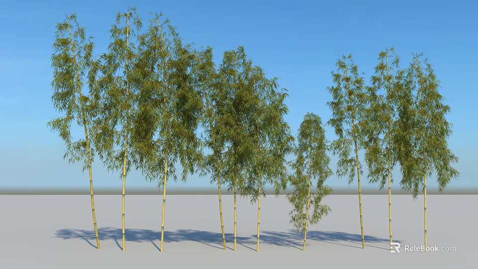 Tall Bamboo Plants With Green Leaves Against Blue Sky Background 3d model 