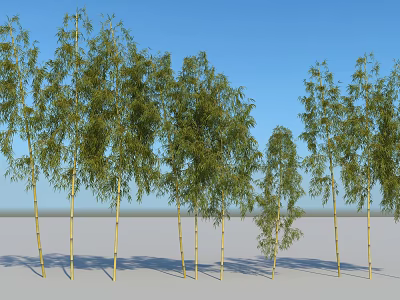 Tall Bamboo Plants With Green Leaves Against Blue Sky Background 3d model