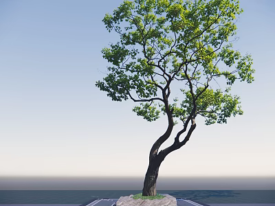Tall Arbor With Curved Trunk And Green Foliage On Stone Base Platform 3d model