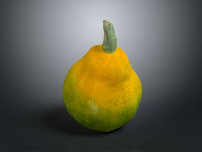 Fresh Round Yellow And Green Gourd With Green Stem On Dark Background 3d model