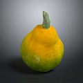 Fresh Round Yellow And Green Gourd With Green Stem On Dark Background