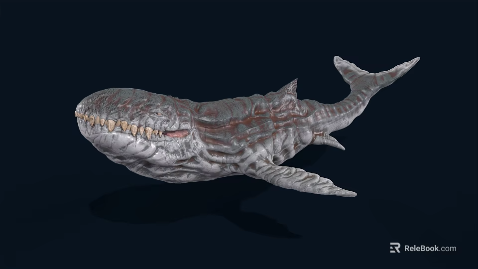 Realistic Aquatic Animal Whale Featuring Sharp Teeth And Rough Skin Texture 3d model