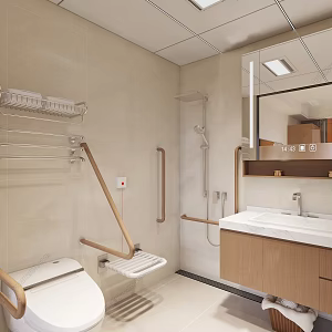 Modern Elderly Toilet 3d model