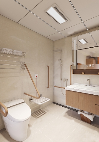 Modern Elderly Toilet 3d model