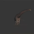 Long Necked Sauropod Dinosaur Standing On Sandy Ground With Realistic Texture