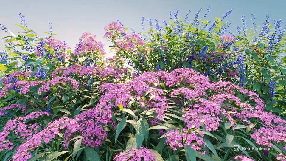 Vibrant Garden Shrubs With Purple Blue Flowers And Lush Green Leaves 3d model 