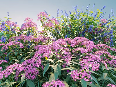 Vibrant Garden Shrubs With Purple Blue Flowers And Lush Green Leaves 3d model