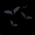 Four Flying Black Bats on Clean White Background in Simple Flight Scene