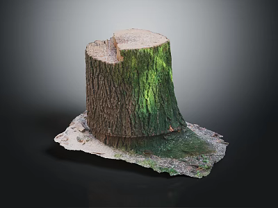 Green Plants Growing On Tree Stump With New Sprouts And Surrounding Soil Details 3d model