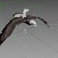 Bald Eagle Gracefully Flying with Spread Black Wings and White Head 3d model