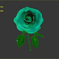 Turquoise Rose Plant With Vibrant Layered Petals Fresh Green Leaves And Stem
