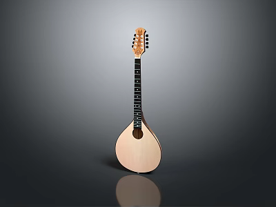 Traditional Wooden Chinese Lute Handmade Musical Instrument for Home Decor Use 3d model