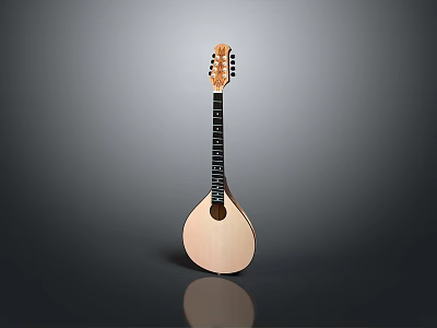 Erhu Drum Pipa Music Equipment Music Equipment Musical Instruments 3d model