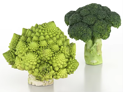 Fresh Green Romanesco Broccoli and Broccoli Vegetables with Spiral Florets Shape 3d model