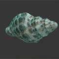 Colorful Conch Shell Decorative Ornament Set With Red Black White Striped Pattern For Home Decor