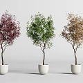 Three Different Colored Bonsai Plants in White Pots Displayed on Grey Surface